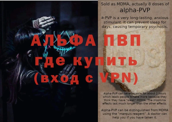 дживик Осташков