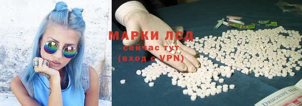 дживик Осташков