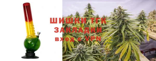 дживик Осташков