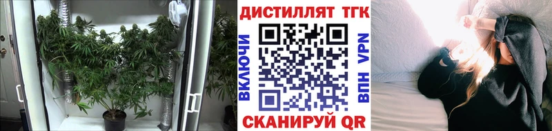 ТГК жижа  kraken как войти  Пучеж 